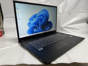 Terra Mobile 1716 i3-10110U 8GB 240GB SSD 500GB HDD 17.3 FHD W11Home
